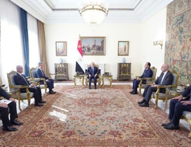 الرئيس السيسي يؤكد توسيع التعاون التعليمي مع اليابان خلال لقاء رئيس جامعة هيروشيما