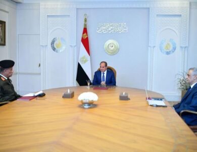 الرئيس السيسي يوجه بتعزيز التصنيع المحلي وجذب الاستثمارات في شركات الإنتاج الحربي