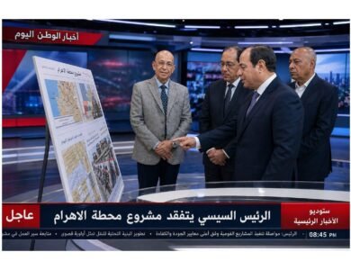 المفكر السياسي حسن النجار يشيد بجولة الرئيس السيسي لمتابعة مشروع محطة الأهرامات