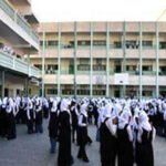 طلاب الإعدادي الأزهري يؤدون امتحانات الفقه والنحو وسط ضوابط مشددة