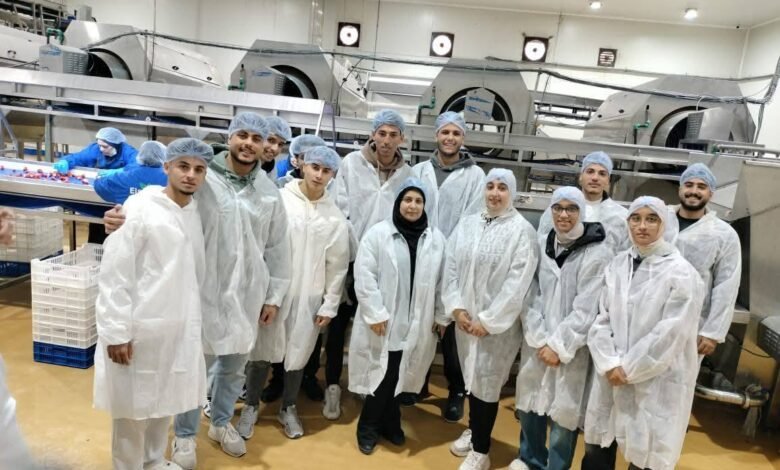 في ذكرى تحرير سيناء.. التعليم العالي يقود نهضة تنموية غير مسبوقة