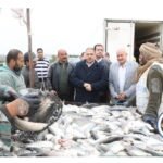 محافظ الشرقية يفتتح موسم صيد الأسماك بمزرعة العباسة ويؤكد دعم الإنتاج المحلي