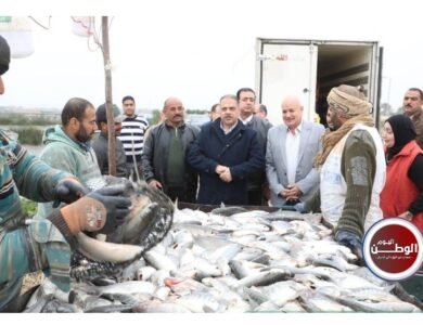 محافظ الشرقية يفتتح موسم صيد الأسماك بمزرعة العباسة ويؤكد دعم الإنتاج المحلي