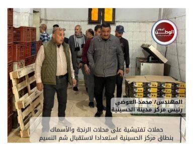 محافظ الشرقية يكثف الحملات الرقابية ويضبط نصف طن رنجة فاسدة قبل شم النسيم