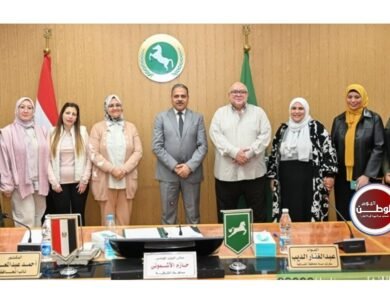 محافظ الشرقية يكرم الأمهات والآباء المثاليين من العاملين بالمحافظة لعام 2026