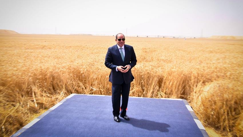 الدلتا الجديدة ترسخ الأمن الغذائي وتدعم الاقتصاد الوطني المصري