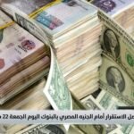 الدولار يواصل الاستقرار أمام الجنيه المصري بالبنوك اليوم الجمعة 22 مايو 2026