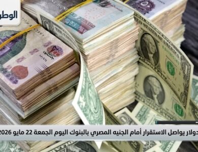 الدولار يواصل الاستقرار أمام الجنيه المصري بالبنوك اليوم الجمعة 22 مايو 2026