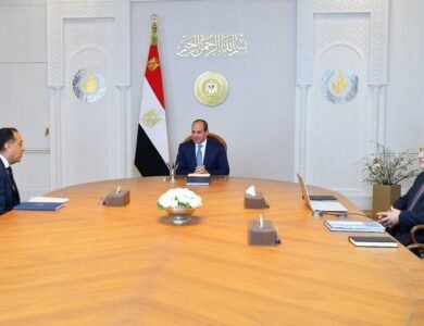 الرئيس السيسي يبحث تطوير التعليم العالي وتحويل مصر لمركز إقليمي دولي