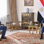 الرئيس السيسي يبحث مع أمين عام OECD تعزيز التعاون الاقتصادي والتنمية المستدامة