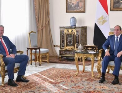 الرئيس السيسي يبحث مع أمين عام OECD تعزيز التعاون الاقتصادي والتنمية المستدامة