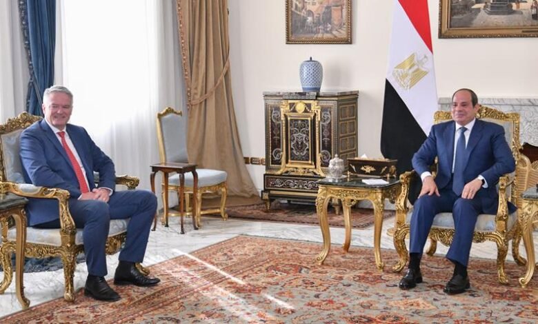 الرئيس السيسي يبحث مع أمين عام OECD تعزيز التعاون الاقتصادي والتنمية المستدامة