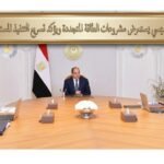 الرئيس السيسي يستعرض مشروعات الطاقة المتجددة ويؤكد تسريع التنفيذ المستدام بمصر