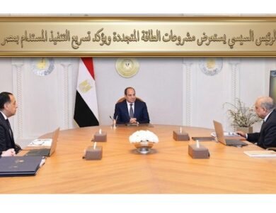 الرئيس السيسي يستعرض مشروعات الطاقة المتجددة ويؤكد تسريع التنفيذ المستدام بمصر