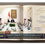 السيسي يوجه بسرعة إنجاز المشروعات التنموية لتحسين الخدمات وتحقيق التنمية المستدامة