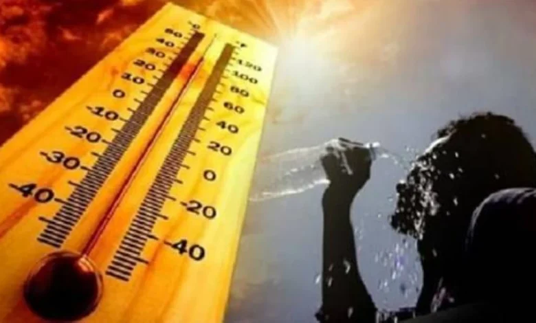انخفاض الحرارة 7 درجات.. الأرصاد تعلن انكسار الموجة الحارة وتحذر من الشبورة