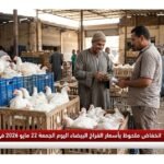 انخفاض ملحوظ بأسعار الفراخ البيضاء اليوم الجمعة 22 مايو 2026 في البورصة