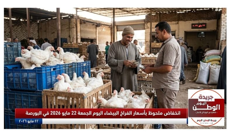 انخفاض ملحوظ بأسعار الفراخ البيضاء اليوم الجمعة 22 مايو 2026 في البورصة