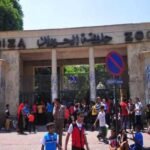 بعد تطويرها موعد افتتاح حديقة الحيوان بالجيزة 2026 وحقيقة تشغيلها في الأعياد