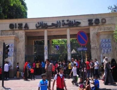 بعد تطويرها موعد افتتاح حديقة الحيوان بالجيزة 2026 وحقيقة تشغيلها في الأعياد