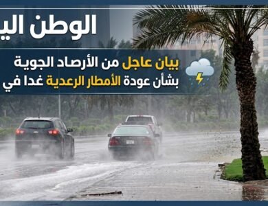بيان عاجل من الأرصاد الجوية بشأن عودة الأمطار الرعدية غدا في مصر