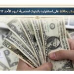 تقارير - الدولار يحافظ على استقراره بالبنوك المصرية اليوم الأحد 17 مايو 2026