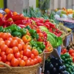 استقرار أسعار الخضار والفاكهة بأسواق الشرقية الثلاثاء 9 يونيو 2026 اليوم