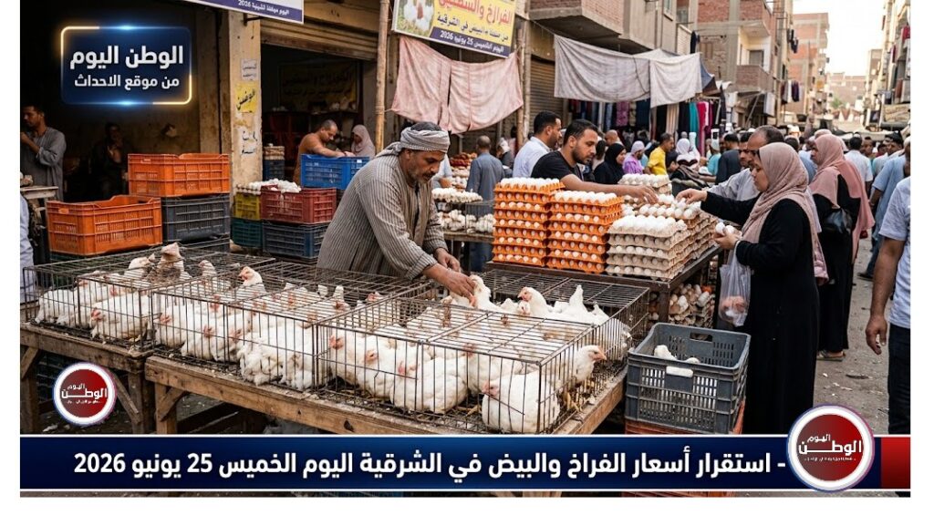 استقرار أسعار الفراخ والبيض في الشرقية اليوم الخميس 25 يونيو 2026 المحلية