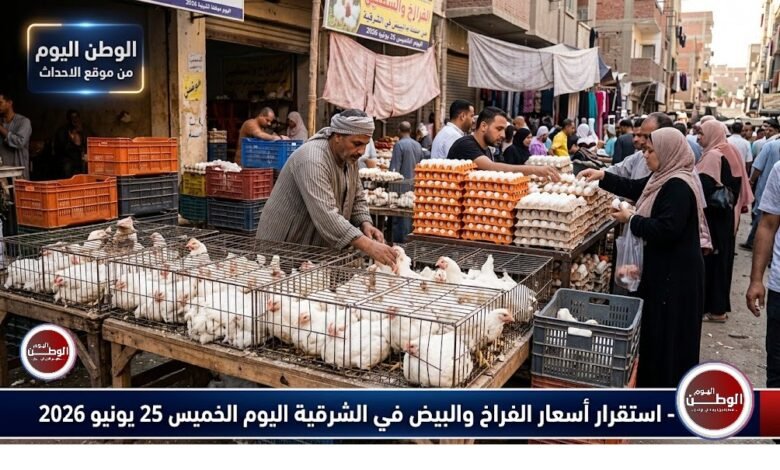 استقرار أسعار الفراخ والبيض في الشرقية اليوم الخميس 25 يونيو 2026 المحلية