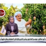 الحاج محمد أبو فطاير موسم المانجو يبشر بالخير والإنتاج المتوقع يبلغ مليونًا ونصف طن