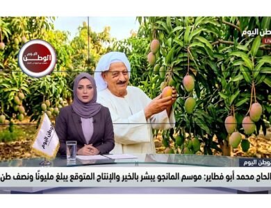 الحاج محمد أبو فطاير موسم المانجو يبشر بالخير والإنتاج المتوقع يبلغ مليونًا ونصف طن