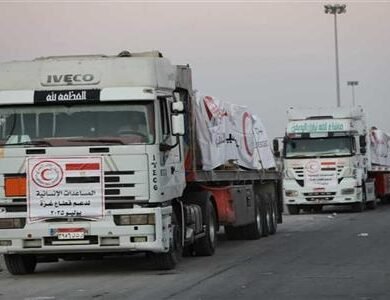 الدفعة 220 من المساعدات المصرية تنطلق لغزة لدعم المتضررين إنسانياً