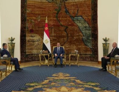 الرئيس السيسي يؤكد دعم نبيل فهمي لقيادة الجامعة العربية ومواجهة التحديات
