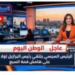 الرئيس السيسي يلتقي رئيس البرازيل لولا دا سيلفا على هامش قمة السبع