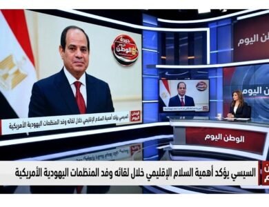 السيسي يؤكد أهمية السلام الإقليمي خلال لقائه وفد المنظمات اليهودية الأمريكية