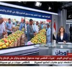 تغيرات الطقس تهدد محصول المانجو وتؤثر على الإنتاج والتصدير المصري