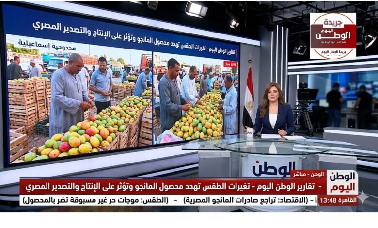 تغيرات الطقس تهدد محصول المانجو وتؤثر على الإنتاج والتصدير المصري