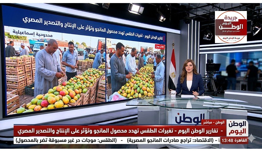 تغيرات الطقس تهدد محصول المانجو وتؤثر على الإنتاج والتصدير المصري