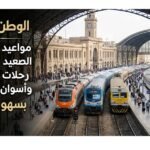 مواعيد قطارات الصعيد اليوم الإثنين.. رحلات القاهرة وأسوان والحجز بسهولة الآن