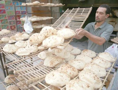 وزير التموين يعلن سعر رغيف الخبز المدعم جنيه ونصف في المنظومة الجديدة