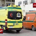 6 إصابات بلدغات الثعابين تثير القلق في الشرقية خلال يوم واحد بأربعة مراكز تفاصيل