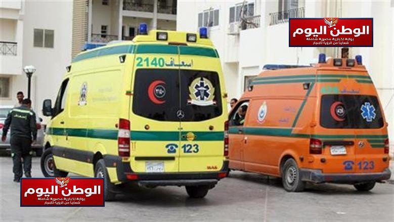6 إصابات بلدغات الثعابين تثير القلق في الشرقية خلال يوم واحد بأربعة مراكز تفاصيل