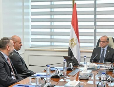 وزير الاستثمار