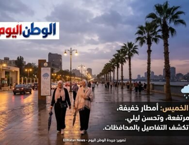 أمطار خفيفة ورطوبة مرتفعة وتحسن ليلي.. الأرصاد تكشف طقس الخميس بالمحافظات اليوم