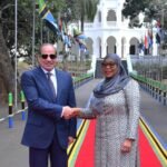 أهم الرسائل من لقاء السيسي ورئيسة تنزانيا لتعزيز الشراكة والتنمية والتكامل الإفريقي المشترك