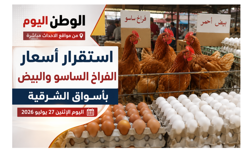 استقرار أسعار الفراخ الساسو والبيض بأسواق الشرقية اليوم الإثنين 27 يوليو 2026