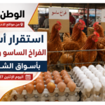 استقرار أسعار الفراخ الساسو والبيض بأسواق الشرقية اليوم الإثنين 27 يوليو 2026