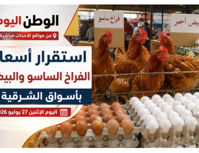 استقرار أسعار الفراخ الساسو والبيض بأسواق الشرقية اليوم الإثنين 27 يوليو 2026