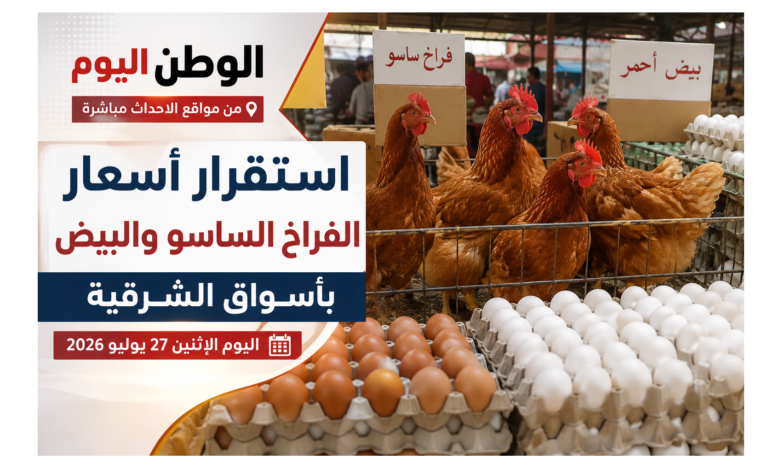 استقرار أسعار الفراخ الساسو والبيض بأسواق الشرقية اليوم الإثنين 27 يوليو 2026