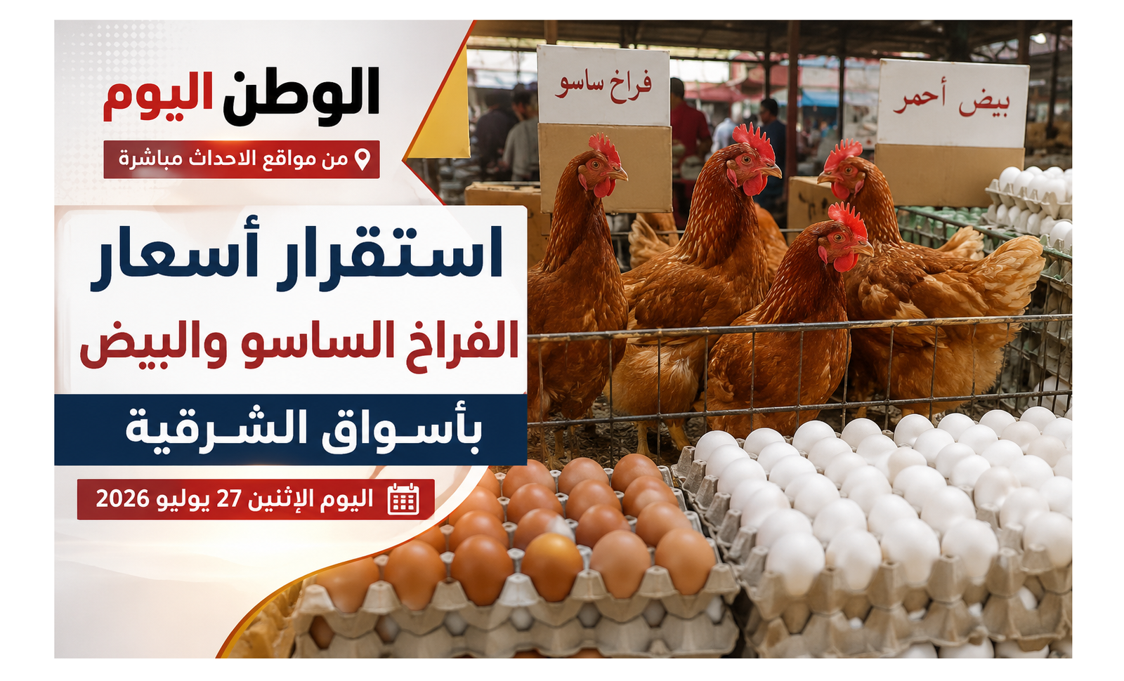 استقرار أسعار الفراخ الساسو والبيض بأسواق الشرقية اليوم الإثنين 27 يوليو 2026